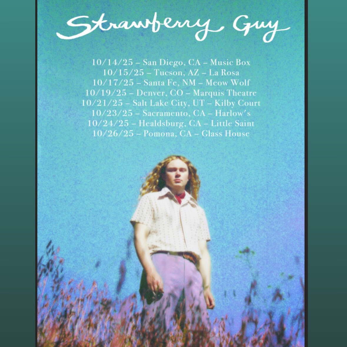 Strawberry Guy Tour Poster
